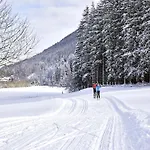 木屋 In Neukirchen By Wildkogel Slopes Neukirchen am Großvenediger