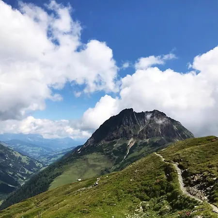 In Neukirchen By Wildkogel Slopes シャレー