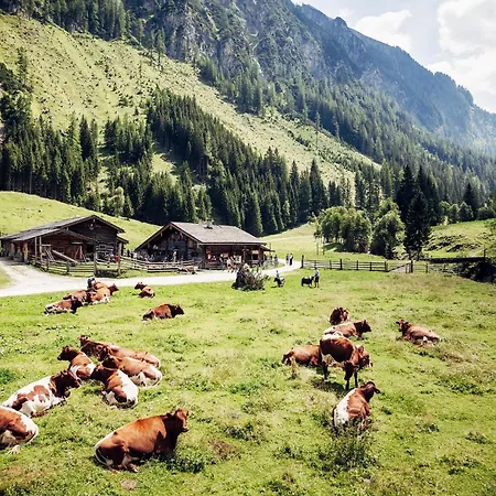 In Neukirchen By Wildkogel Slopes *