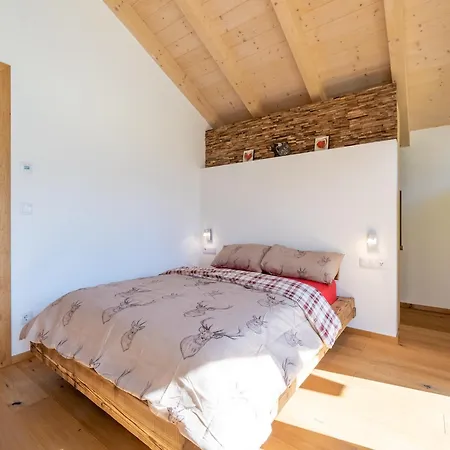 In Neukirchen By Wildkogel Slopes *