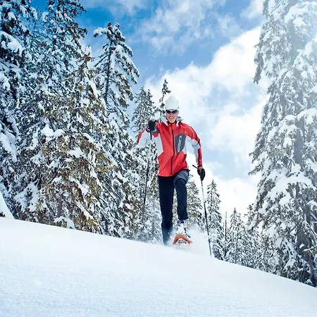In Neukirchen By Wildkogel Slopes Neukirchen am Großvenediger