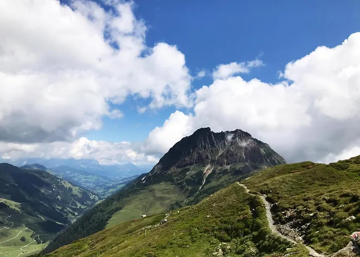 In Neukirchen By Wildkogel Slopes Domek alpejski