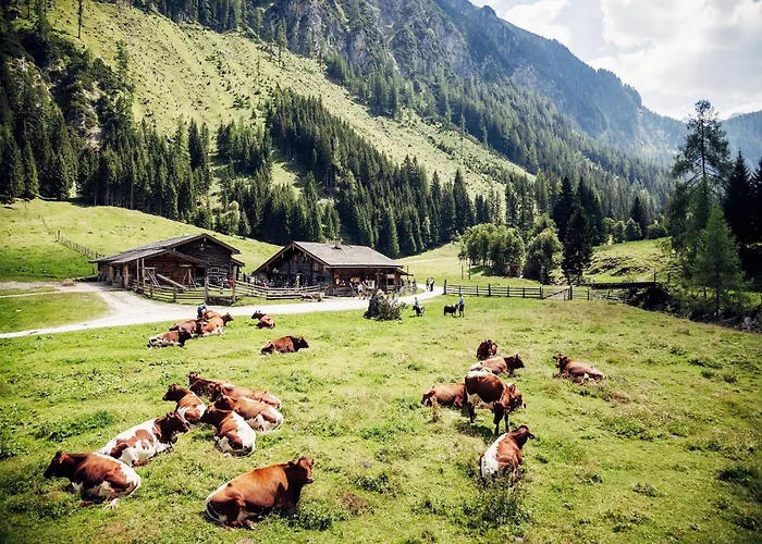 In Neukirchen By Wildkogel Slopes *