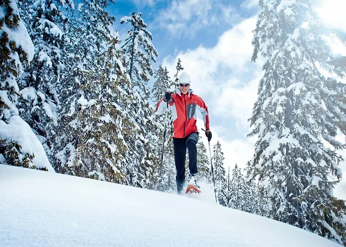 In Neukirchen By Wildkogel Slopes Neukirchen am Großvenediger