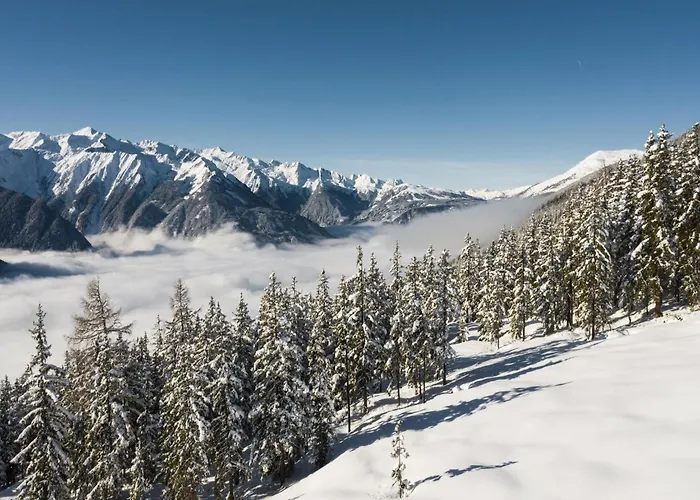 In Neukirchen By Wildkogel Slopes *